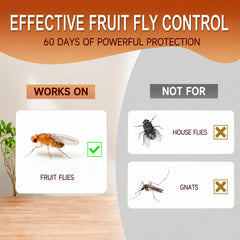 Close-up of ELEGENZO Fruit Fly Trap bait