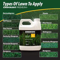 Close-up of Endurant Turf Colorants green grass paint texture