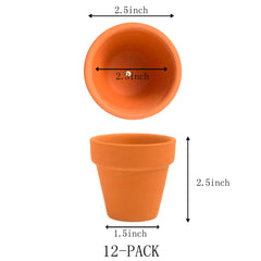 Close-up of Fcacti terracotta pot showcasing smooth finish