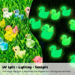 Close-up of FEXIA mini ducks showcasing details