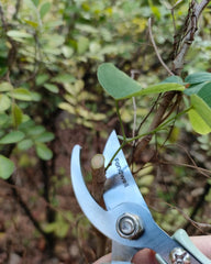 Close-up of Fondwell pruners showcasing stainless steel blades