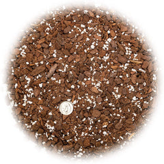 Close-up of Gardenera Monstera Soil ingredients including coco coir and perlite