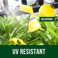 Close-up of Garsum insect traps on potted plants