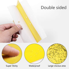 Close-up of Garutom yellow sticky traps