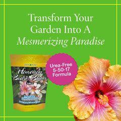 Close-up of Grow More Hawaiian Bud and Bloom Fertilizer powder