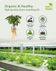 Close-up of grow sponges in URUQ Hydroponic Pods Kit