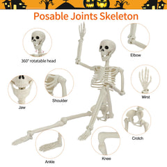 Close-up of GTYZZH skeleton's movable joints