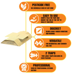 Close-up of HARRIS Cricket Glue Trap adhesive surface