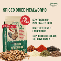 Close-up of Hatortempt Dried Mealworms showing texture