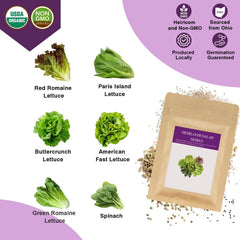 Close-up of heirloom seeds included in Majero kit