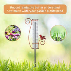 Close-up of HOBYLUBY Cardinal Rain Gauge glass tube