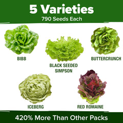 Close-up of HOME GROWN lettuce seeds in resealable mylar bag