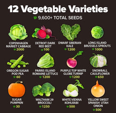 Close-up of HOME GROWN seeds including cabbage and Brussels sprouts