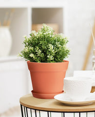 close-up of homenote plastic flower pot drainage holes