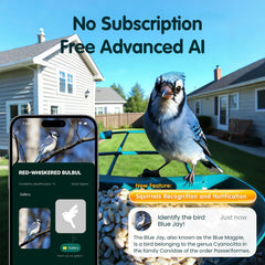 Close-up of Humbirdy 4K camera on bird feeder