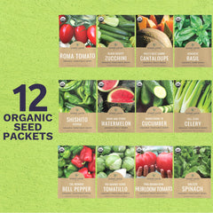 Close-up of individual seed packets in SWEET YARDS pack