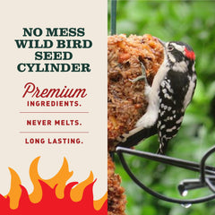 Close-up of ingredients in Mr. Bird Flaming Hot Feast bird seed