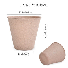 Close-up of JERIA peat pots showing texture and drainage holes