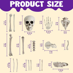 Close-up of JOYIN skeleton bones detailing