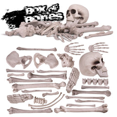 Close-up of Kangaroo plastic skeleton bones