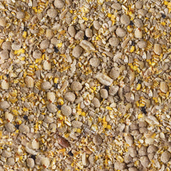 Close-up of Kaytee Seed & Suet No Mess Blend showing edible seeds