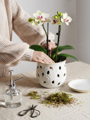 Close-up of LE TAUCI Ceramic Orchid Pot showing breathable holes