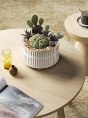 Close-up of LE TAUCI succulent planters showing unique glaze texture