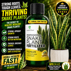 Close-up of Leaves and Soul liquid fertilizer bottle with 3-1-2 formula