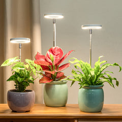 Close-up of LORDEM LED Grow Light showcasing warm natural light