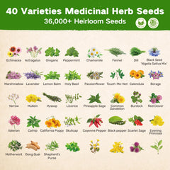 Close-up of LUSH&DEW heirloom herb seeds including oregano and lavender