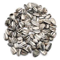 Close-up of Mammoth Sunflower seeds in a hand