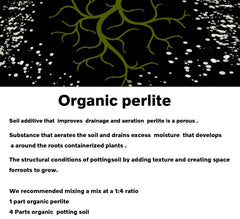 Close-up of MDPQT Horticultural Perlite texture