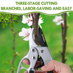 Close-up of MEPEREZ pruning shears sharp blades
