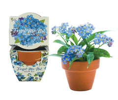 Close-up of mini terracotta pots included in the BUZZY kit
