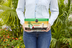Close-up of Miracle-Gro Fruit & Citrus Plant Food Spike