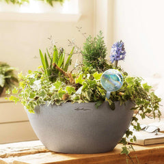 Close-up of Mission Gallery small watering globe showing water fill