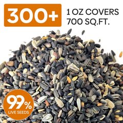 Close-up of mixed sunflower seeds from Groundio