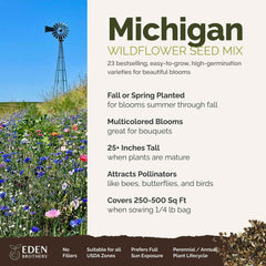 Close-up of mixed wildflower seeds in a pack