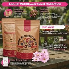 Close-up of mixed wildflower seeds in packet
