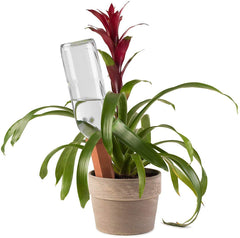 Close-up of Modern Innovations terracotta self-watering spike
