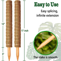 Close-up of moss pole showing solid wood stake