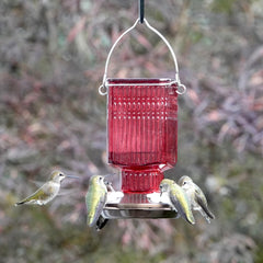 Close-up of NATURE'S WAY Hummingbird Feeder flexible flower ports