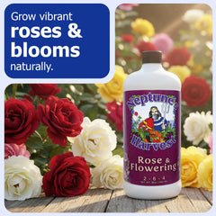 Close-up of Neptune's Harvest Rose & Flowering Fertilizer liquid inside the bottle