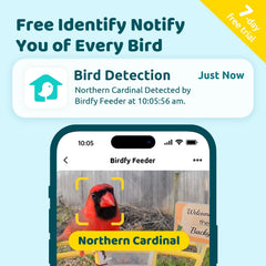 Close-up of NETVUE Birdfy Pro camera lens and perch