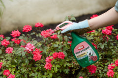 Close-up of Ortho Rose and Flower Insect Killer nozzle