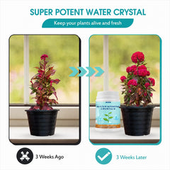 Close-up of Oycevila Water Storing Crystals in packaging