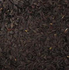 Close-up of Palm Beach Medicinal Herbs Wild Lettuce Seeds