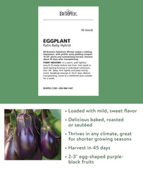 Close-up of Patio Baby Eggplant seeds showing non-GMO label