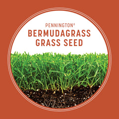 Close-up of Pennington Bermudagrass seeds in a bag