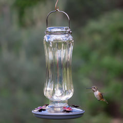Close-up of Perky-Pet Starglow feeder's daisy-shaped feeding ports